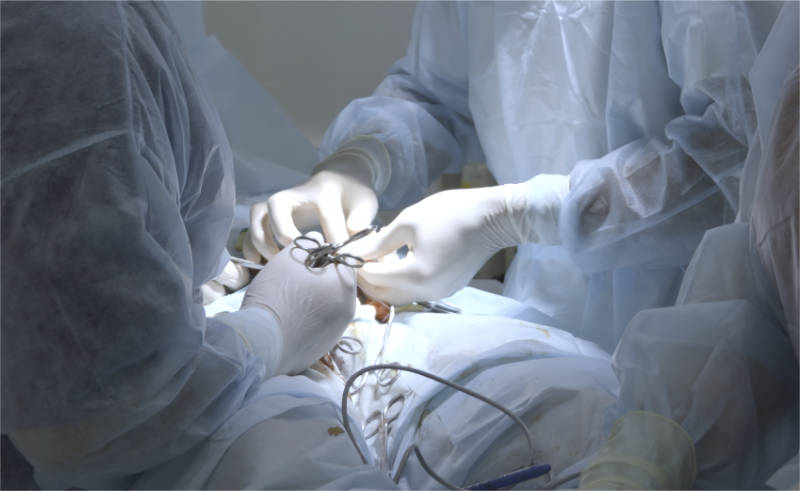 Colocación Injerto óseo en implantologia | Clínica Dental Artdenta Valencia